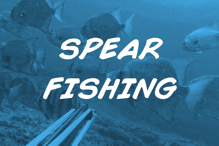 spear-fishing-nosara-sea-saw-tours-playa-garza-nosara-costa-rica