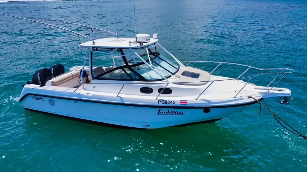 The FantaSea, a Boston Whaler of Nosara Sea Saw Tours, running across blue water off Playa Garza.