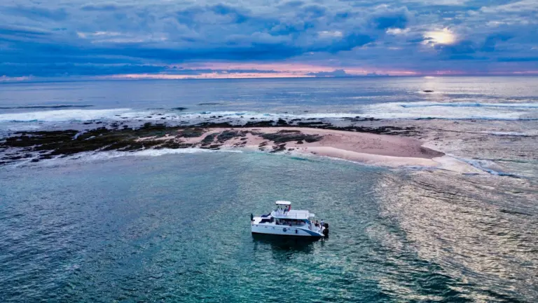 Aerial view of the catamaran anchored beside a rocky reef under a soft pink evening sky.