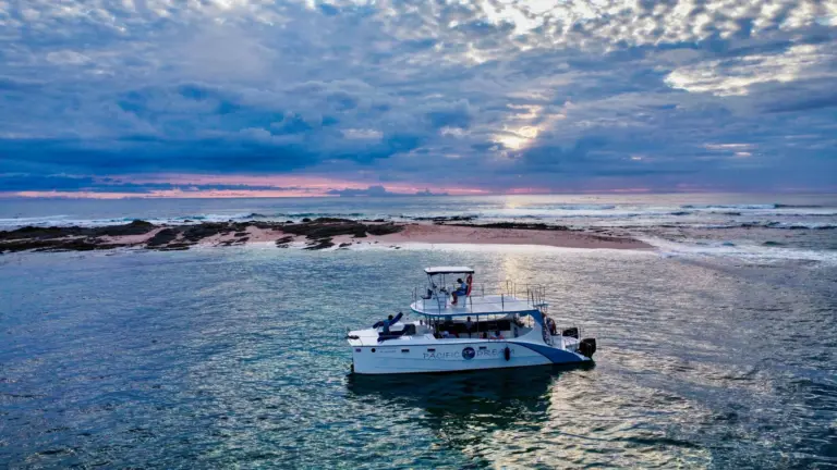 The catamaran lies at anchor off a sandbar as evening light spreads across the water.