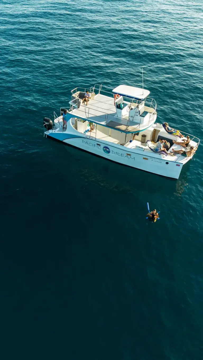 Aerial view of the white catamaran anchored in deep blue water with a swimmer alongside.