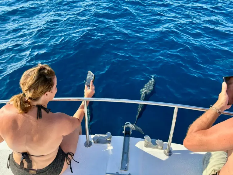 A guest photographs a fish being brought up along the rail during a fishing trip off Nosara.