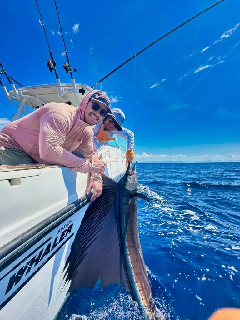 A guest leans over the gunwale holding a sailfish by the bill before releasing it.