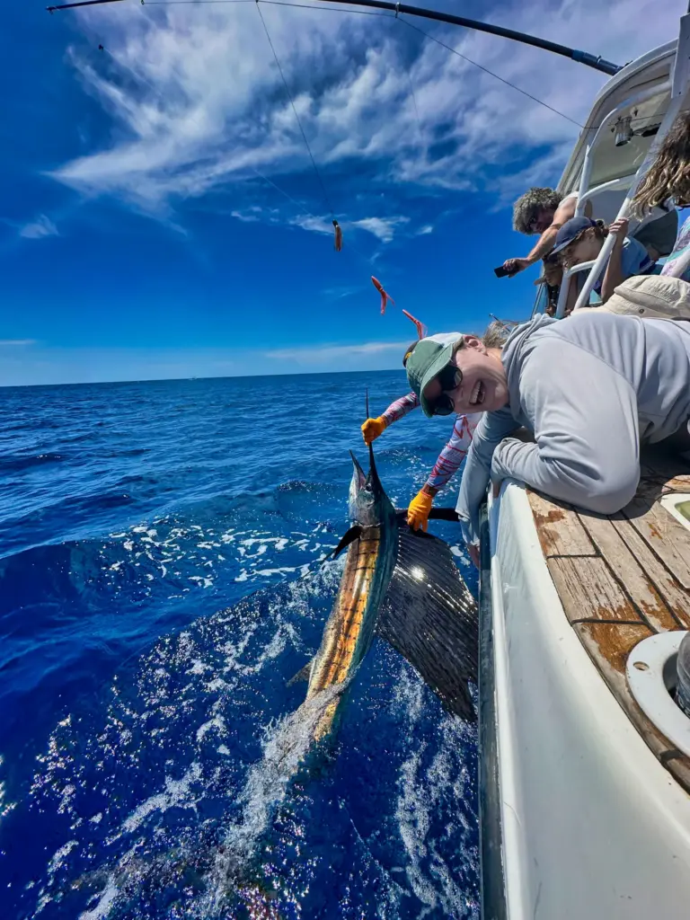 A guest reaches down to touch a sailfish held at the gunwale before it swims away.