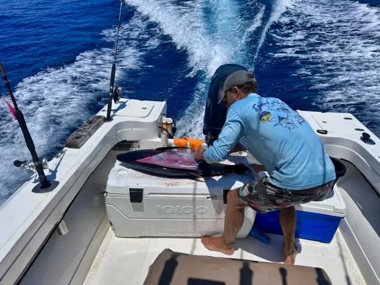 A crew member cuts fresh bait on the cooler while the boat runs offshore from Nosara.