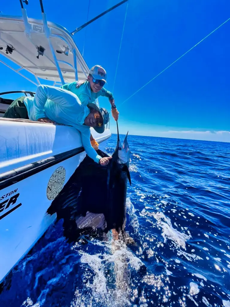 Two crew members hold a sailfish alongside the bow before releasing it off Playa Garza.