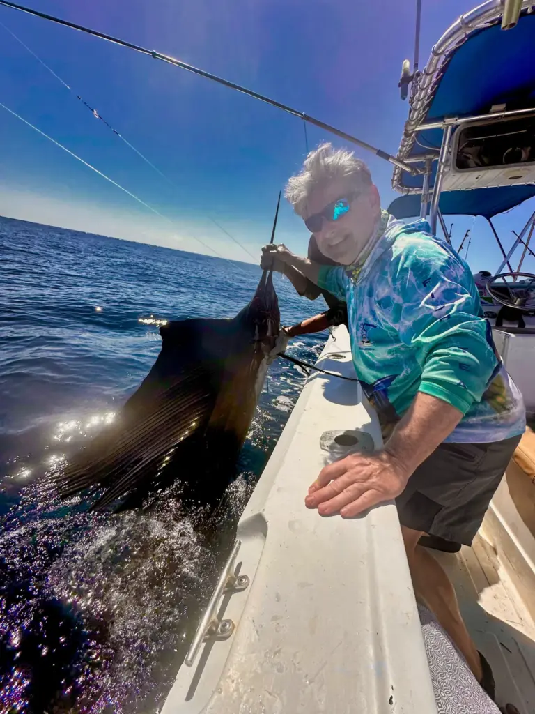 A guest leans over the gunwale to release a sailfish alongside the boat in blue water.