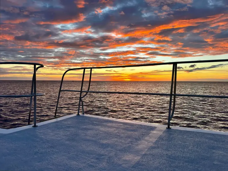 The catamaran's open bow deck faces a pink and orange sunset over the Pacific.