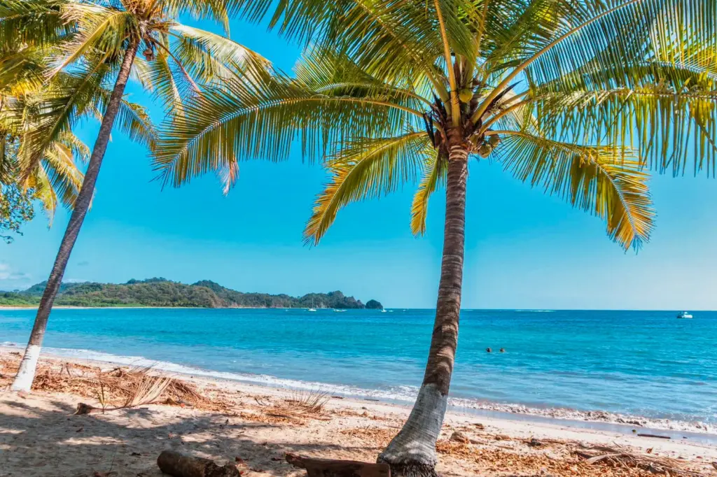 Palm trees frame a quiet beach and bright blue water on the Guanacaste coast near Nosara.