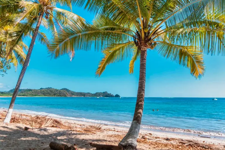 Palm trees frame a quiet beach and bright blue water on the Guanacaste coast near Nosara.