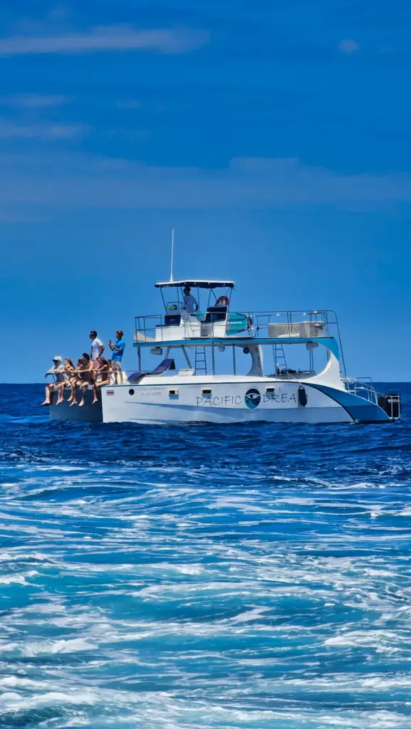 Guests sit along the catamaran's bow scanning the water during a wildlife trip off Nosara.