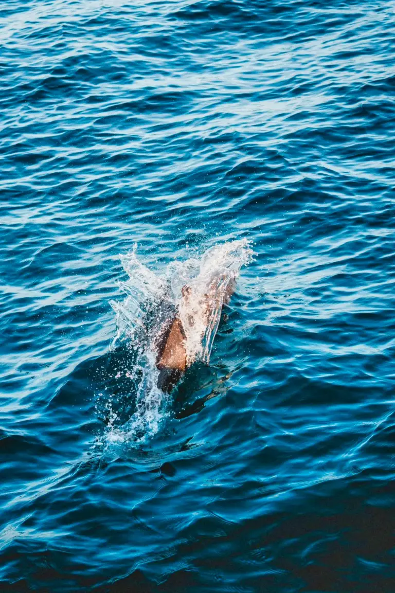 A dolphin surfaces in a burst of spray in the blue water right beside the boat off Nosara.
