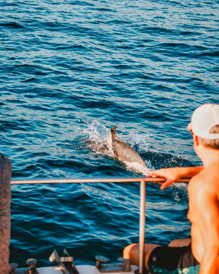 A guest leans on the rail as a dolphin surfaces just off the side of the boat near Nosara.