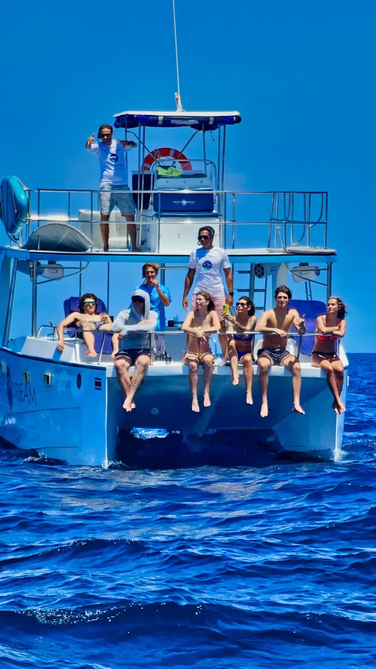 Guests sit along the catamaran's bow scanning the deep blue water for dolphins and whales.